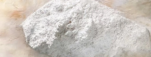 Leptozan - Clinically Tested Ingredients